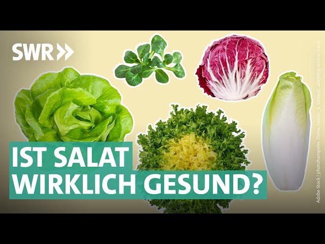 Gartensalate, Bittersalate & Co. – das steckt wirklich drin | Marktcheck SWR