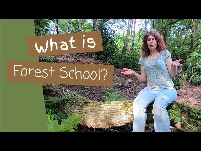 What is Forest School? 7 Things you need to know as an Introduction to Forest School