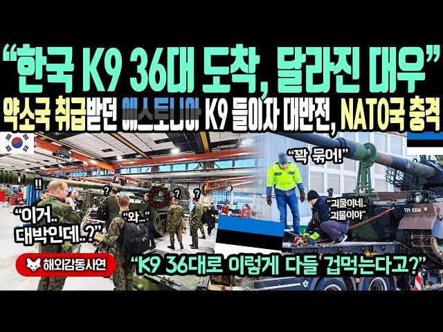 《해외감동사연》"한국 K9 36대 도착하자, 달라진 대우" 약소국 취급받던 에스토니아 K9 들이자 대 반전, NATO 참가 유럽국 충격