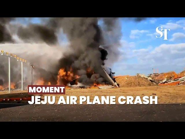 [Moment] Jeju Air plane crashes, all onboard dead except 2 rescued