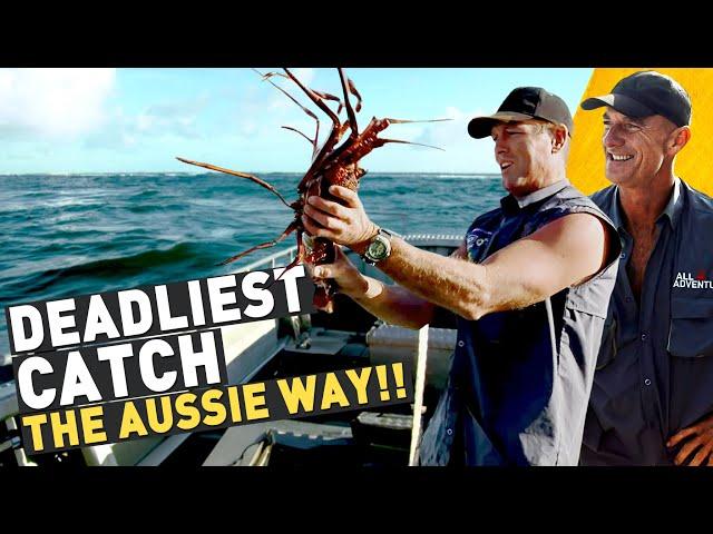  LIFE AT SEA: Australian Crayfish, Dolphins & a 400 year old shipwreck!! 