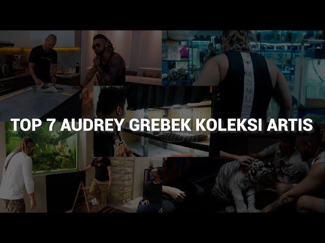 TOP 7 AUDREY GREBEK KOLEKSI ARTIS!! #Audreykingofthejungle #indoexotic