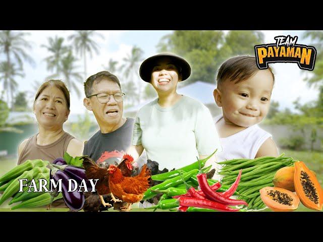 HARVEST TIME SA AMING FARM SA CAVITE | Pat Gaspar