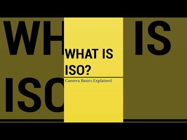 What is ISO? Camera Basics Explained #Shorts