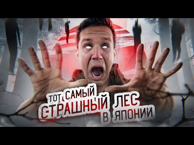 ТОТ САМЫЙ СТРАШНЫЙ ЛЕС В ЯПОНИИ! ПРОВЕЛ ТАМ НОЧЬ | GhostBuster