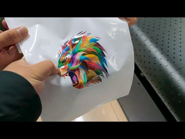 Plastic UV Single Pass Digital Printer, UV printer for plastic bags