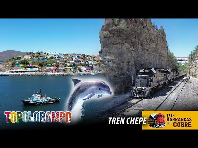 Viaje en Tren Chepe, Barrancas del Cobre, Topolobampo, Delfín el Pechocho