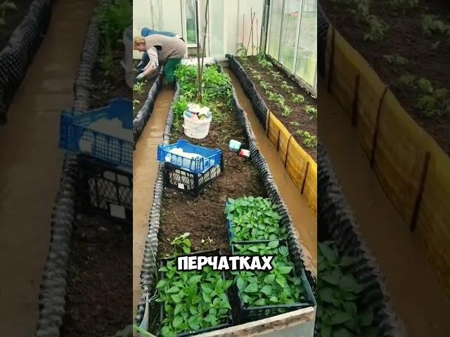 Интересные идеи для сада