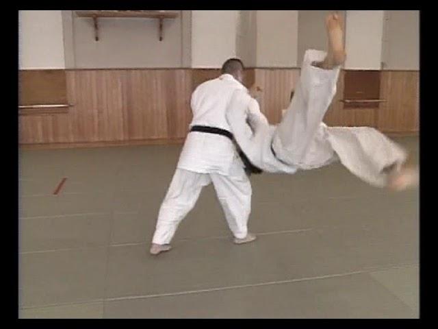 Yoshinkan Aikido - Shomen Uchi Jiyu Waza