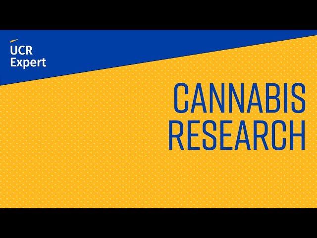 What’s new in cannabis research?