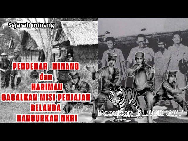 SEJARAH PENDEKAR KUCING HITAM DAN HARIMAU , SUMATRA BARAT #seputarminang