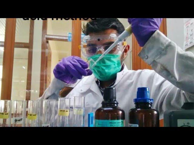 Estimation of Total Carbohydrates by Phenol-Sulphuric acid method//Microplate method//Standard graph