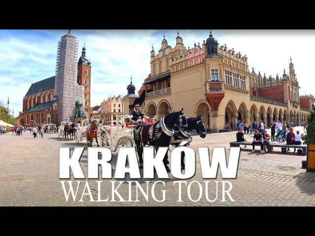  KRAKÓW 2024 Old Town Walking Tour / CRACOW 2024 Walking Tour / Poland Europe [4k Ultra HD]