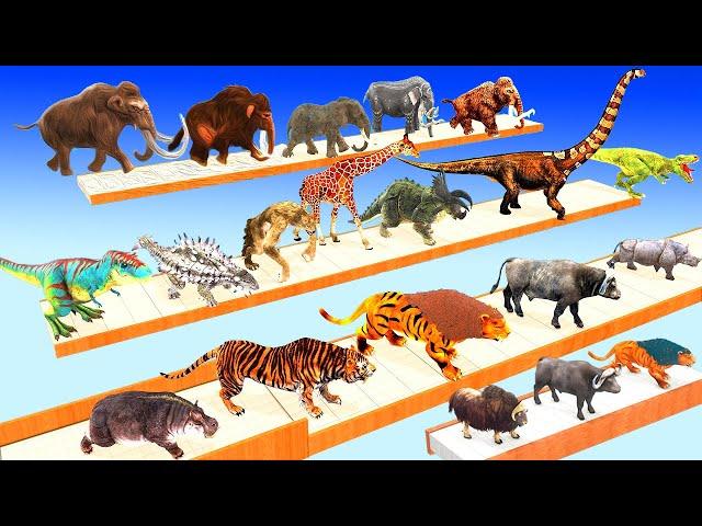 Animals vs Dinosaurs vs Mammoth Elephant Speed Race Run Zigzag Down Course! Super Animal Battle