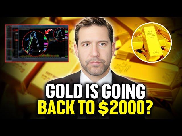 Scary Gold Price Drop! Chris Vermeulen Drops BOMBSHELL Predictions for Gold & Silver Prices