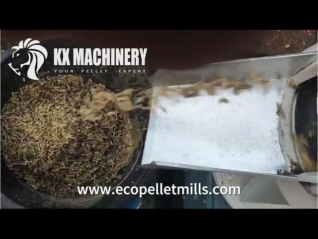 Small pellet press machine - biomass pellet mill feed pellet mill for corn wheat alfalfa soybeans