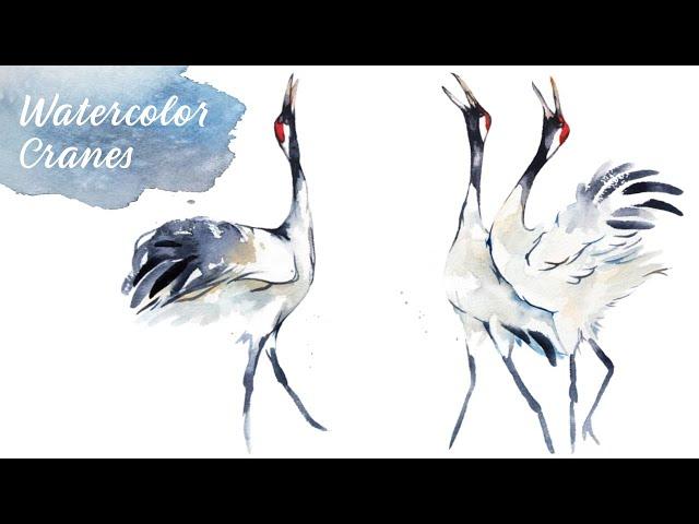 Loose Watercolor Crane Painting - 25 Minute Beginner Project