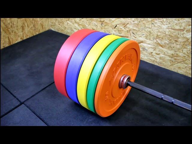 Disco Bumper ECO color 20kg Maniak Fitness bumper plate