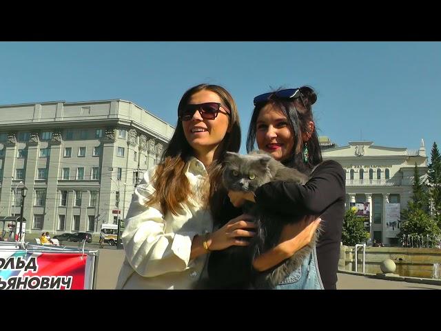 Народ Поддерживает Кота Депутата