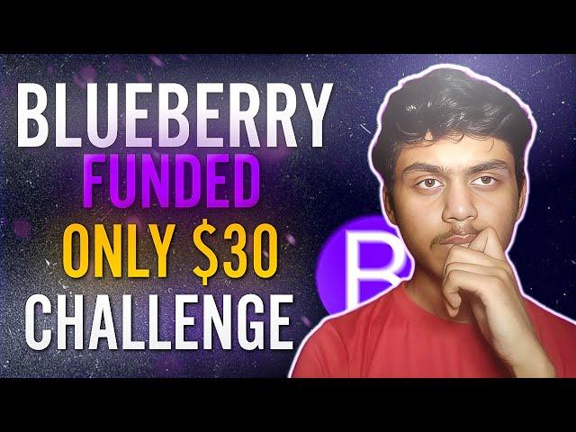 BlueBerry Funded Prop Firm Review  | Best Prop Firm 2024 