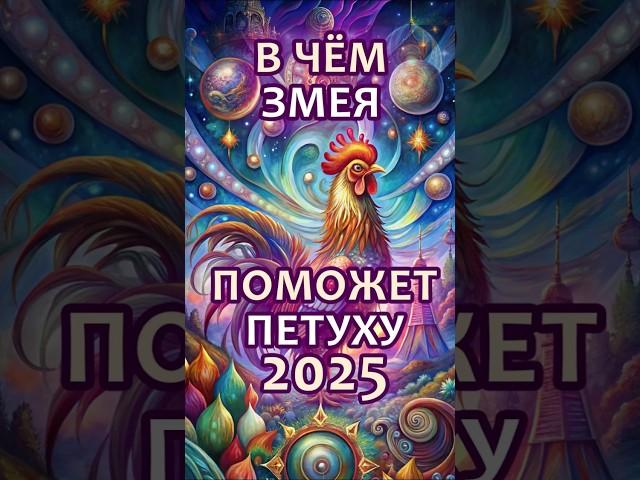 В чём повезет Петуху в 2025 год Змеи? #гороскоп #астрология