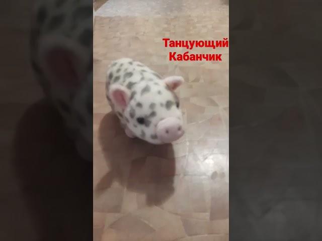 Танцующий Кабанчик