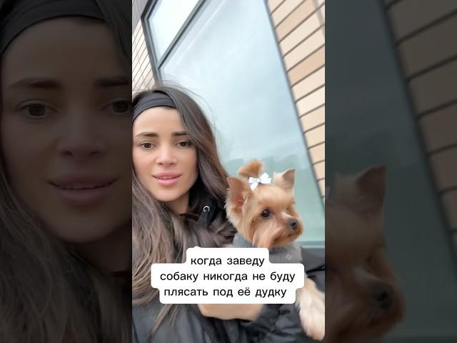Собачники, признавайтесь, у вас так же?