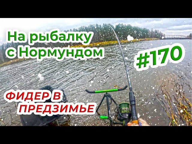 Предзимний фидер на канале / На рыбалку с Нормундом #170