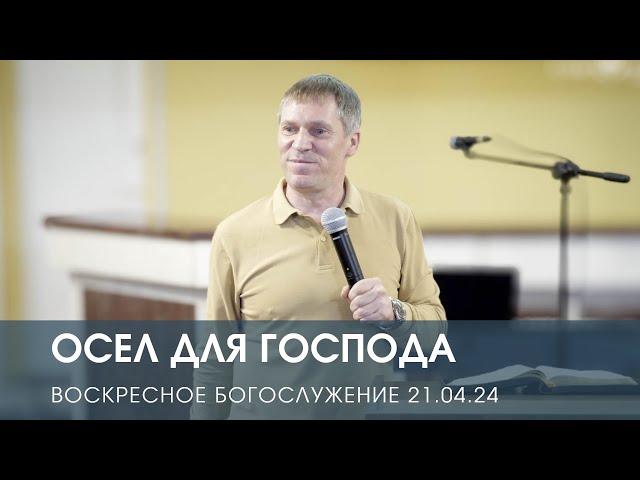ОСЕЛ ДЛЯ ГОСПОДА — Дмитрий Андреев (21.04.2024)