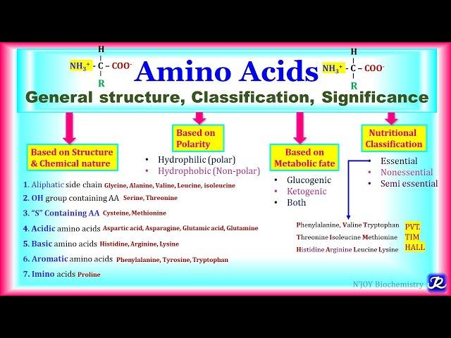 1: Amino Acids : General structure, Classification, Significance | Amino acid Chemistry-1| Biochem