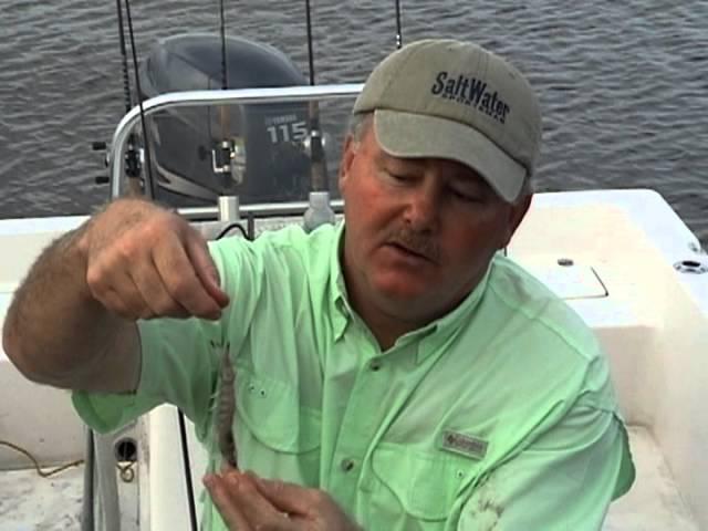 How To Rig Live Shrimp Thru The Body: Bob McNally