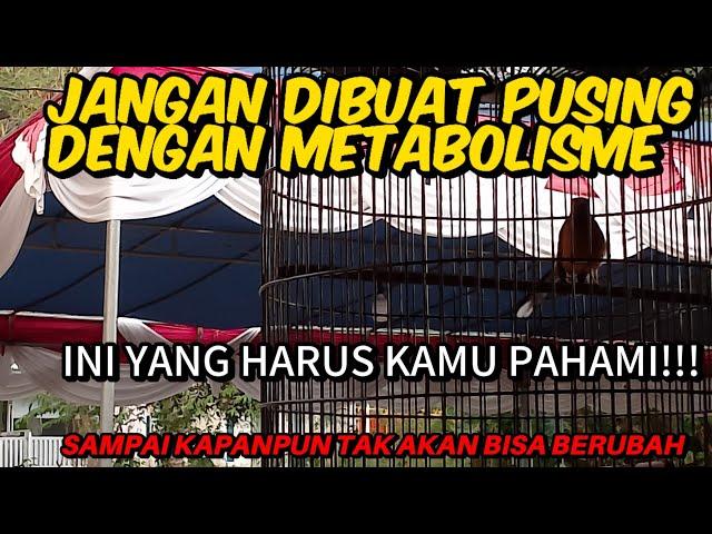 KARAKTER DAN TIPE SAMPAI KAPANPUN TAK AKAN BISA BERUBAH INI YANG PERLU KALIAN PAHAMI!!!