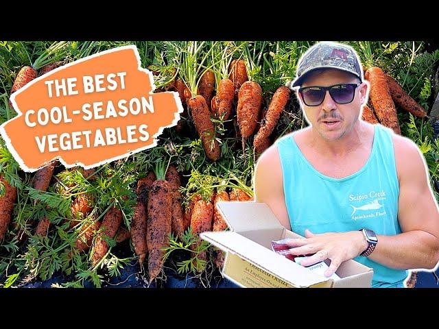 The BEST 15 VEGETABLES for Your Fall Backyard Garden!