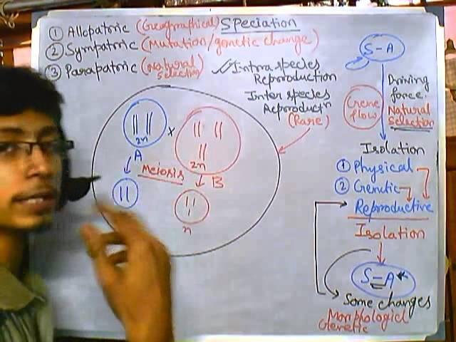 Origin of species: Sympatric speciation (evolution part 8 speciation 4)