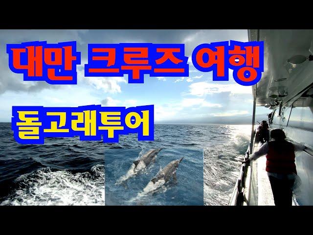 대만 크루즈 돌고래 투어 대박여행 돌고래 만나러 태평양으로 나가 봄 Taiwan dolphin and whale