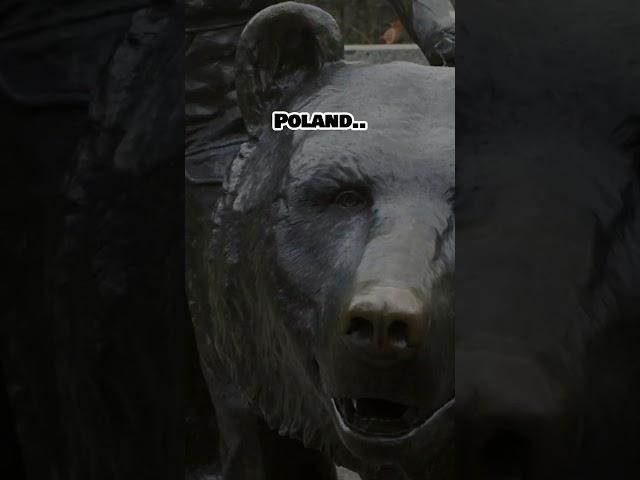 Wojtek WW2  #wojtekbear #poland #polandball #edit #bear #ww2 #history #geography