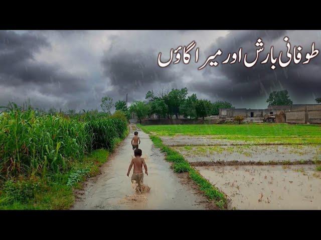 Very Heavy Rain in Village Punjab Pakistan | Nomadic Village Life | Pakistan Village Life