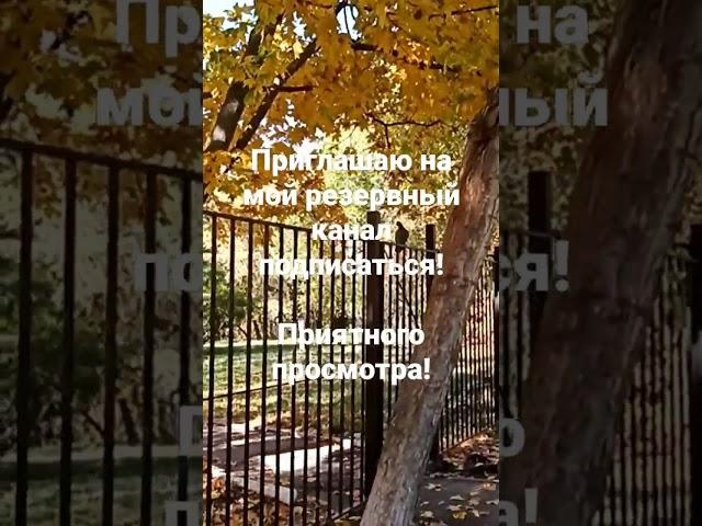 подписывайтесь на мой резервный канал. https://youtu.be/8M2EVqNOrsQ