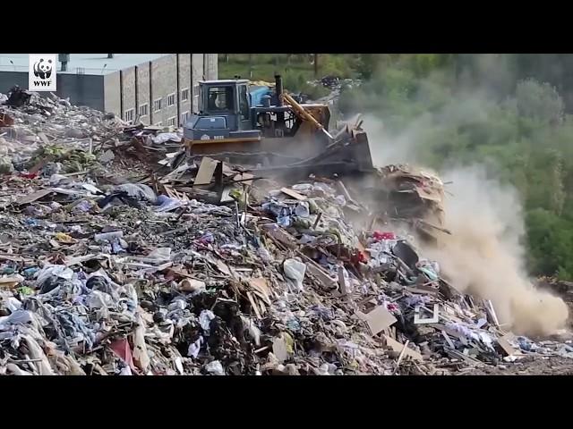 Emergenza inquinamento da plastica