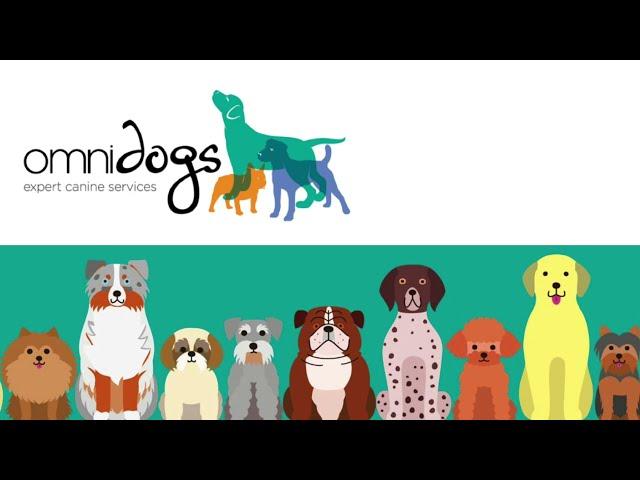 Omnidogs Showreel 2022