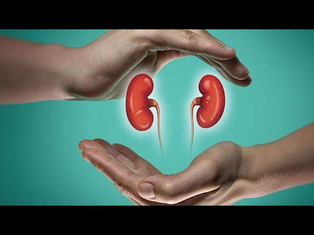 How To Keep Your Kidneys Healthy For Life in 2022