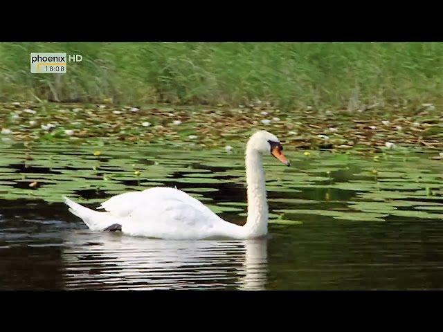 (Doku in HD) Natur Nah - Die letzten Paradiese