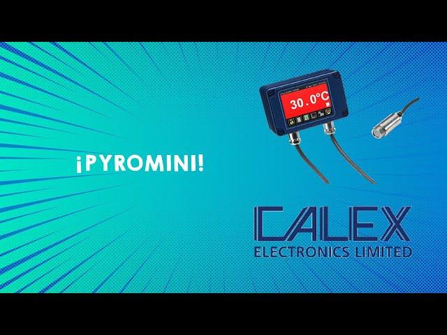 BASIC FEATURES OF THE PYROMINI INFRARED TEMPERATURE SENSOR