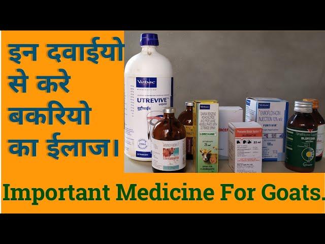 Goat Farming | Medicine for goats | bakrio k liye jruri medicine | bakri paln in hindi