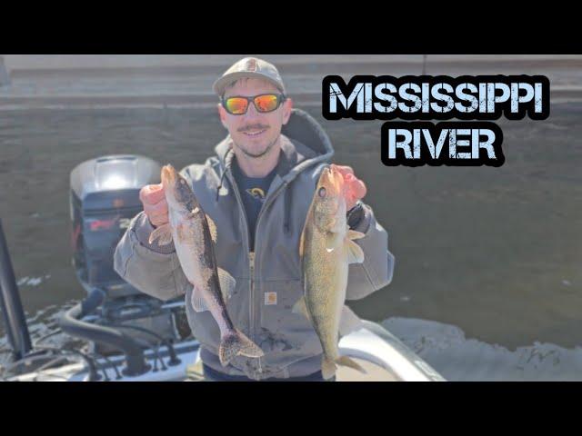 March Walleye and Sauger Fishing 2025!! (Mississippi River)