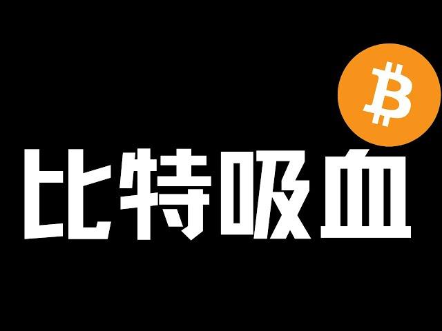 【比特币行情分析】2024.12.17 大饼吸血，多看少动！