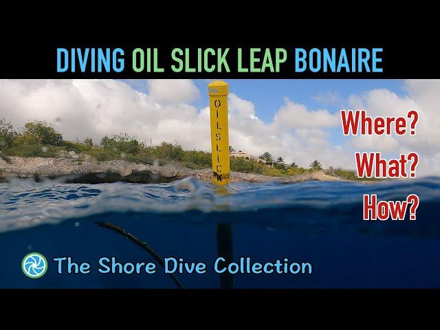 Diving Oil Slick Leap Bonaire | The Shore Dive Collection | TropicLens - 4K