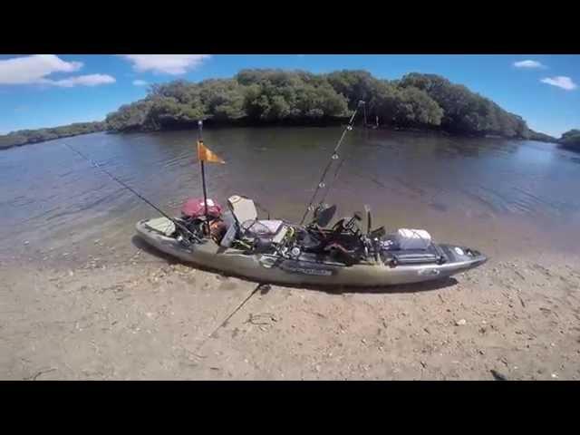 Yakking in Garden Island Mangroves