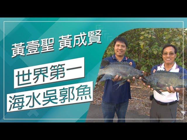 草地狀元-全球唯一海水吳郭魚達人(20190415播出)careermaster