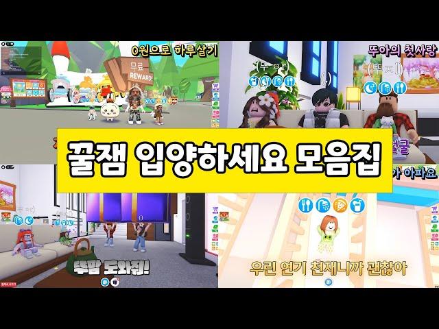 [입양하세요] 꿀잼 입양하세요 상황극 모음! ️️ 뚜뚜패밀리